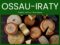 Ossau-Iraty: Pride of the French Pays Basque (Tasting & Serving)